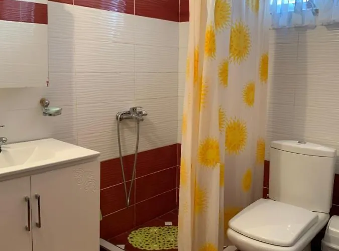 Vjosa Memaliaj