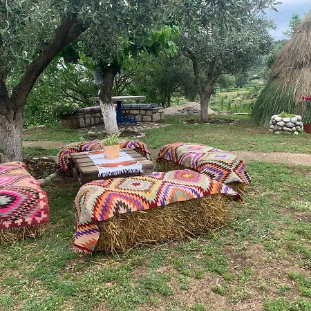 בית הארחה Vjosa