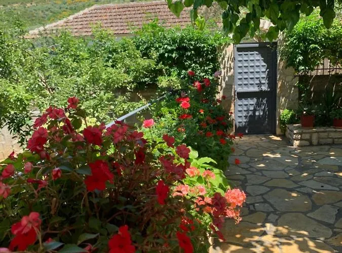 Vjosa בית הארחה